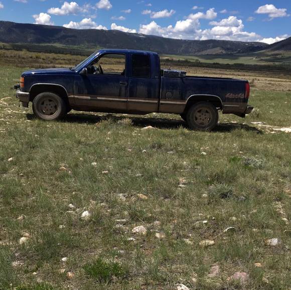 Meet your Posher, Hunter - Picture 1 of 1